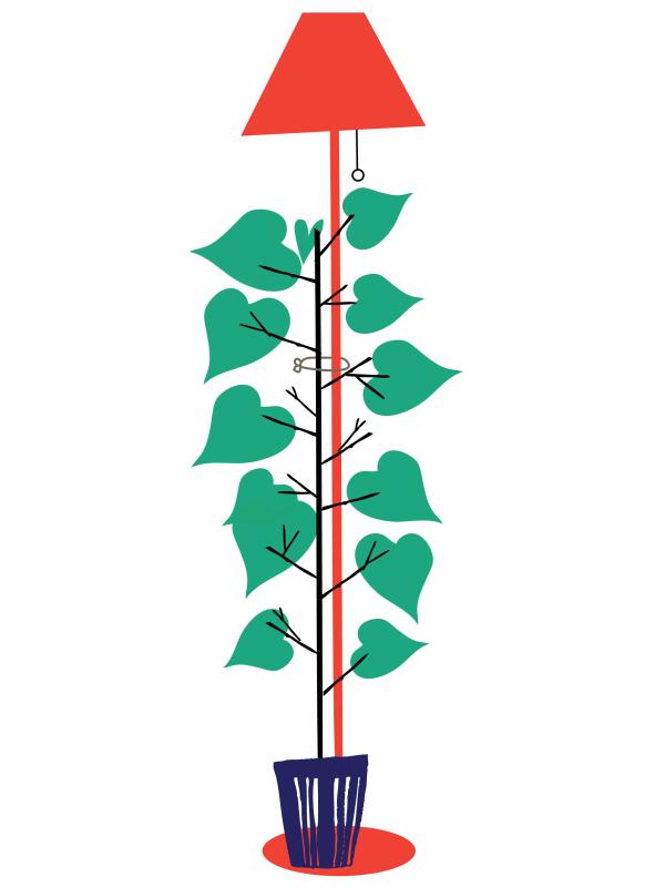 Verzorging planten Verzorging planten