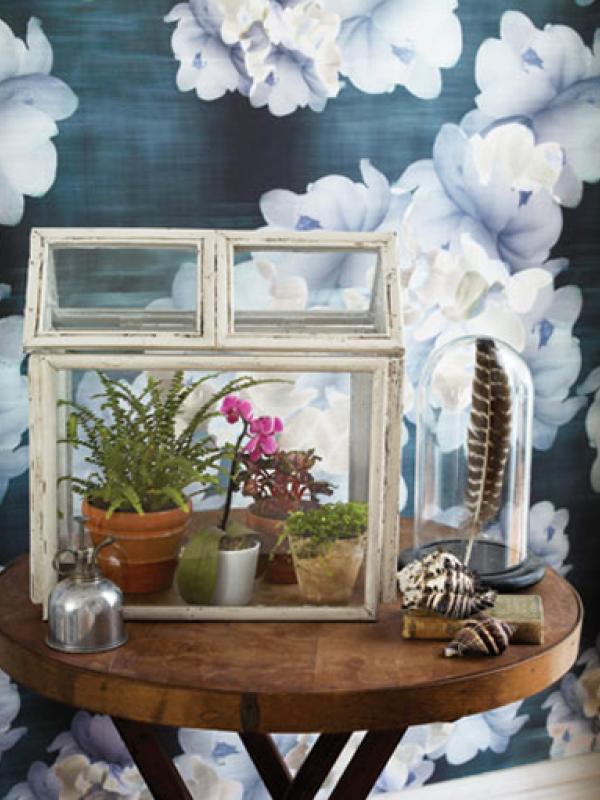 Picture frame greenhouse