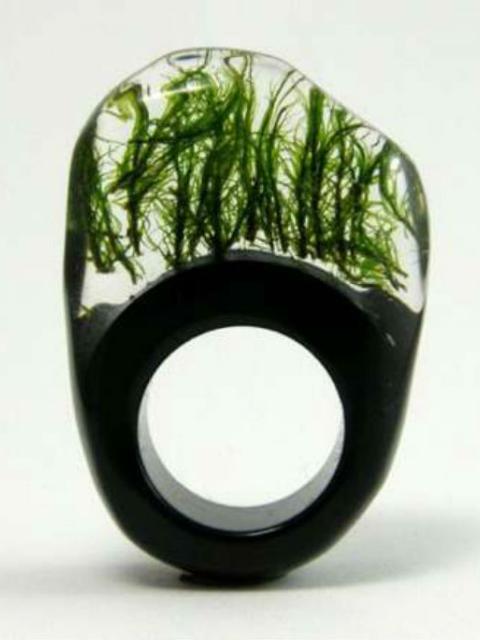 Moosring by Sylwia Calus Design – The Green Gallery