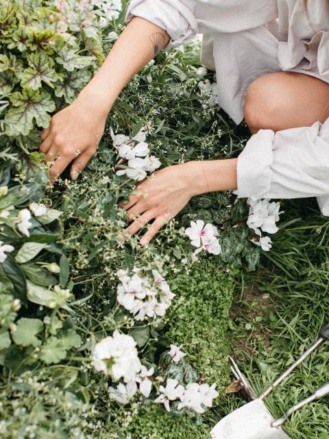 lente | lente klusjes tuin | doen in tuin in voorjaar 