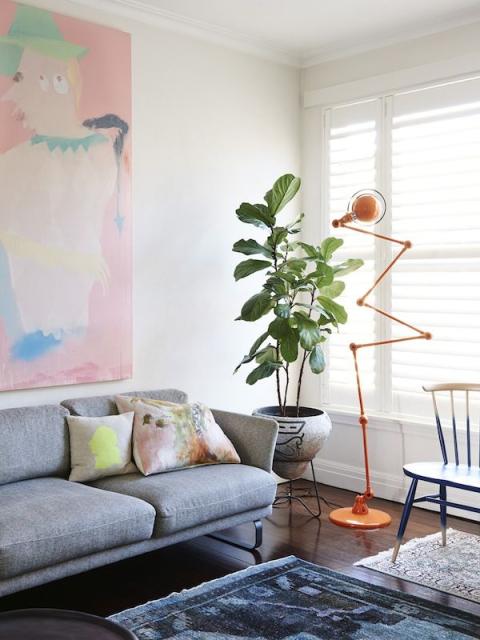 January starter pack: get plants into the home