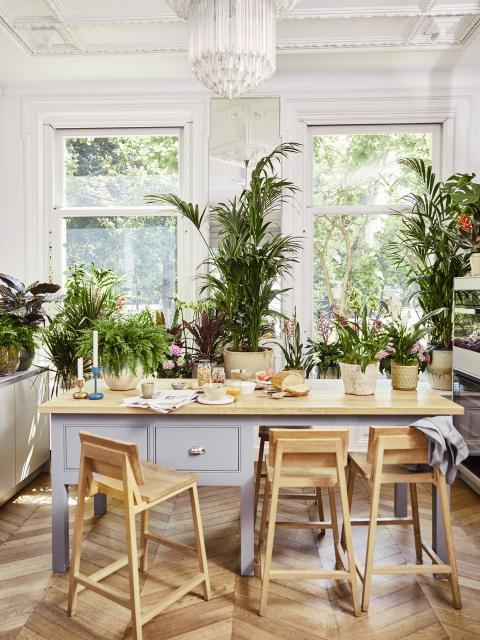 Verwen jezelf met een huis vol planten | Mooiwatplantendoen