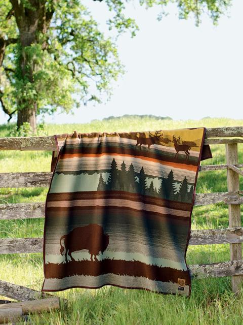 Pendleton deken Mooiwatplantendoen.nl