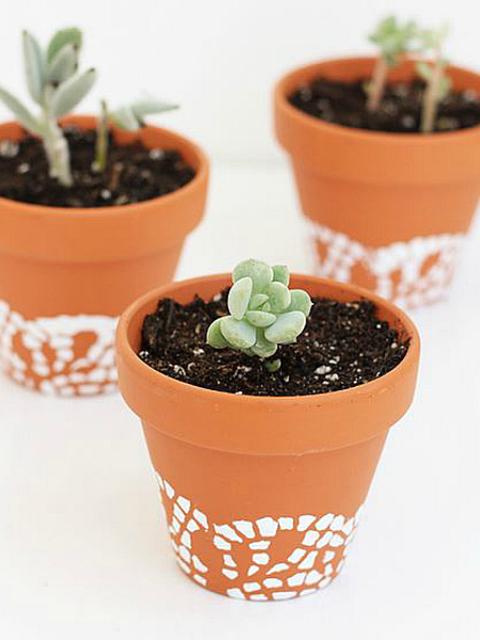 DOILY PAINTED FLOWER POTS