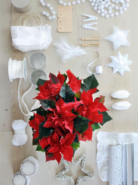 Kerst op Pinterest