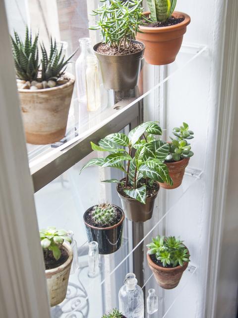 DIY floating shelves thejoyofplants