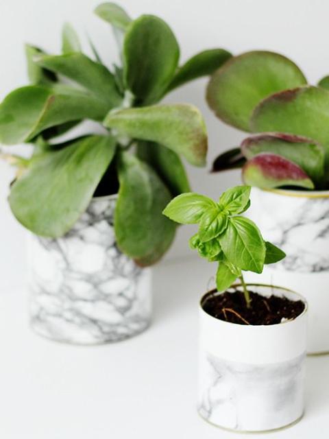 Marble planter