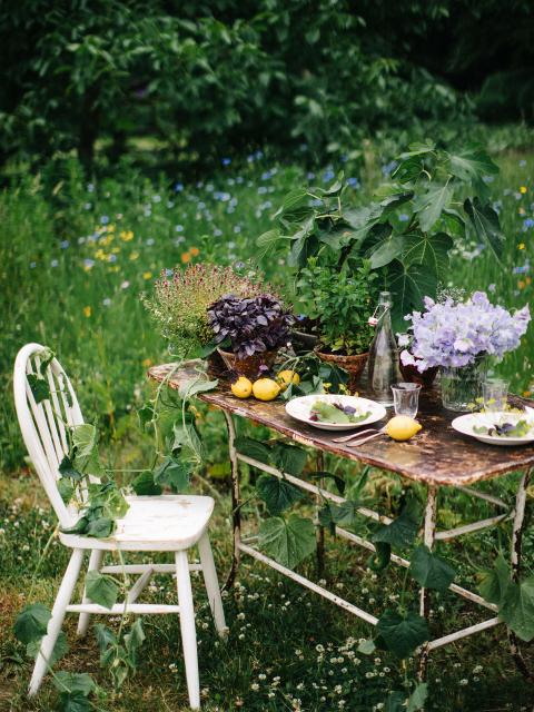 A summer table | thejoyofplants.co.uk