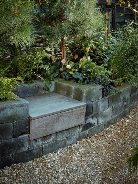 outdoor border | thejoyofplants.co.uk