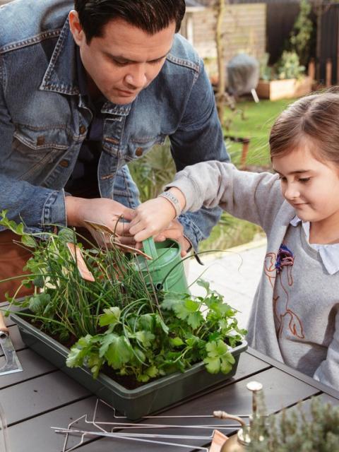  Father's Day gardening together | thejoyofplants.co.uk